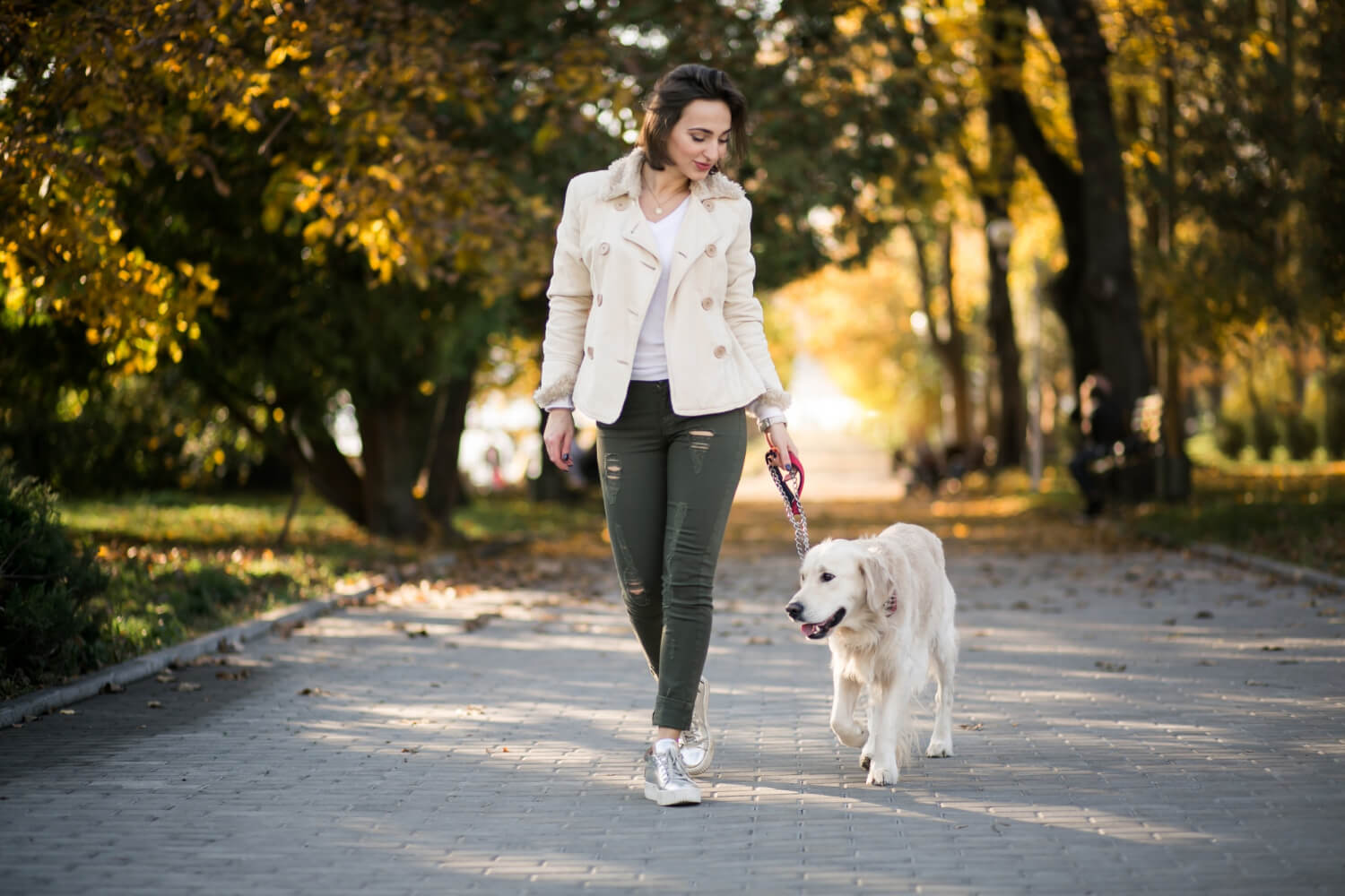 Dog Walking