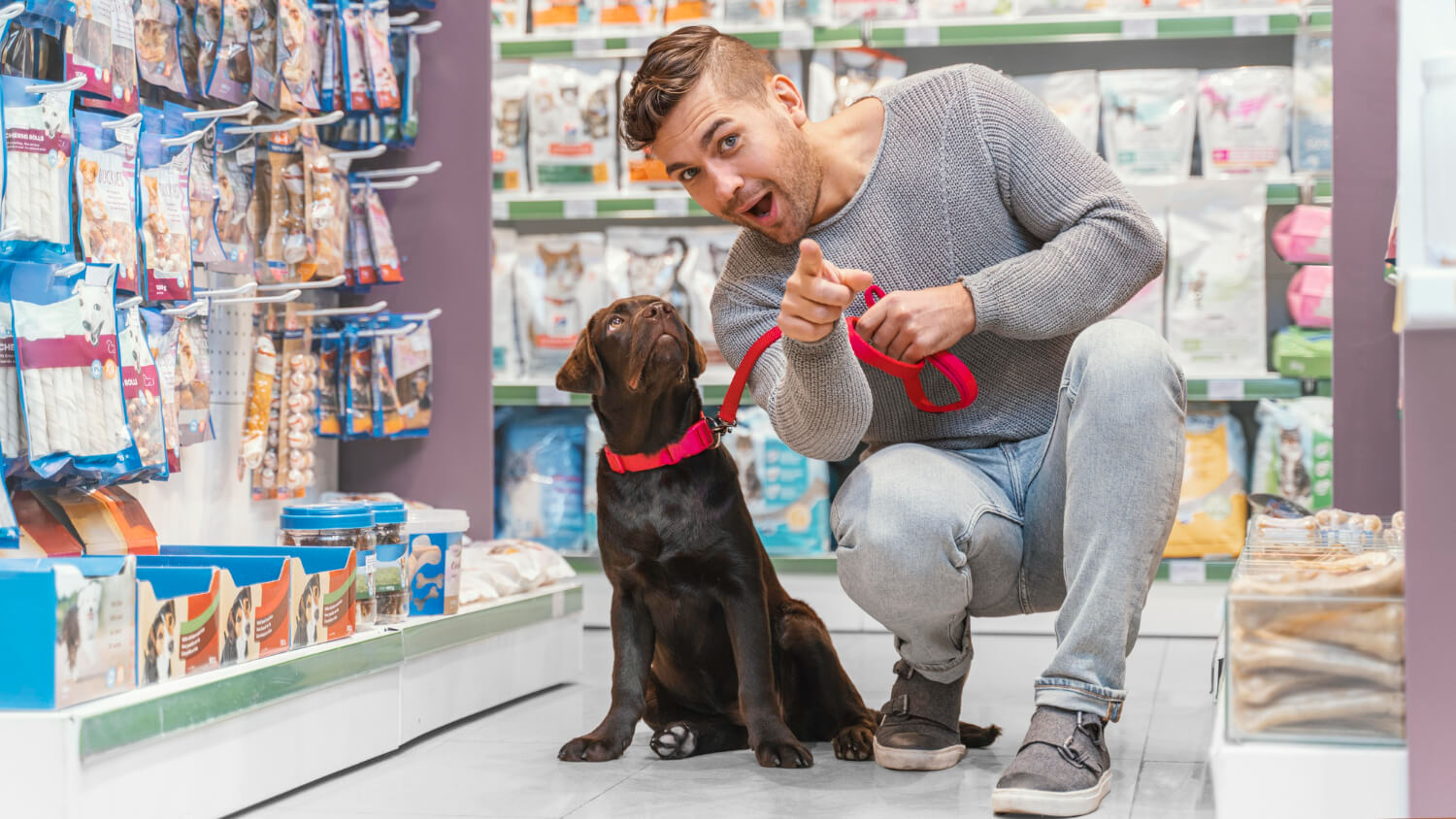 Pet Boutique Store
